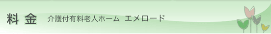 エメロード 料金